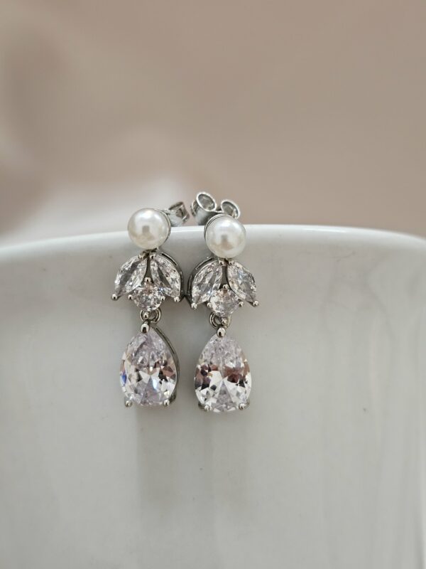 Drop Crystal Earrings – AESP21