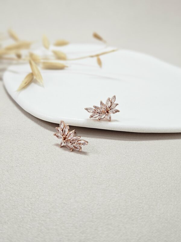 Small Rose Gold Crystal Stud Earrings – AERC7