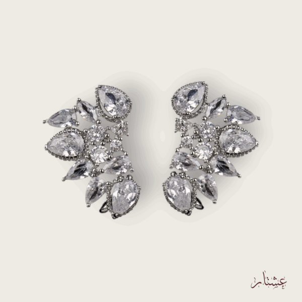 Statement Crystal Ear Climber Earrings – AESC60