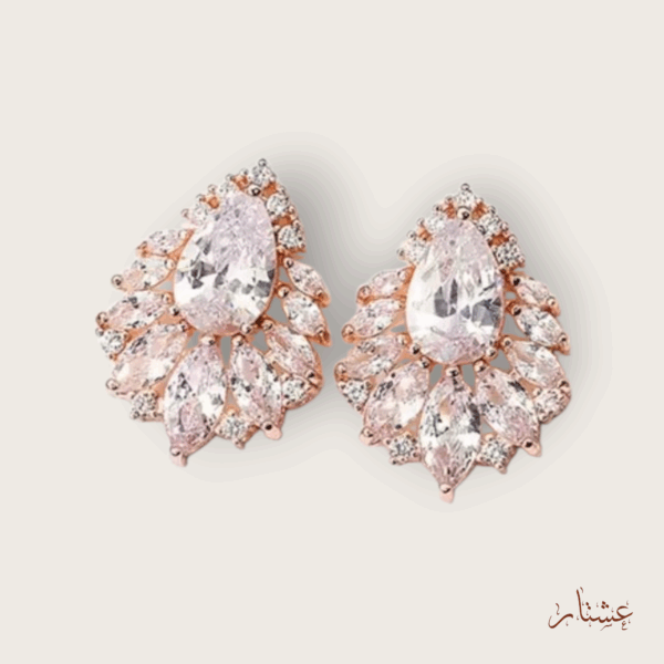 Elegant Rose Gold Crystal Stud Earrings – AERC6