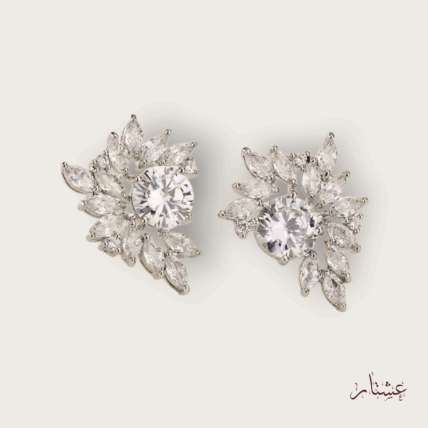 Half Moon Stud Crystal Earrings – AESC9