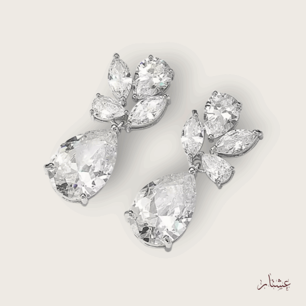 Drop Crystal Silver Earrings – TESC11