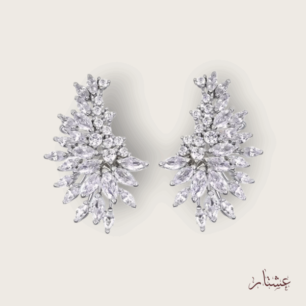 Stunning Earin Cuff Crystal Earrings – AESC2