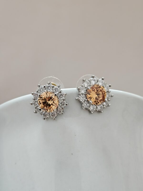 Small Delicate Champagne Stud Earrings – AECC