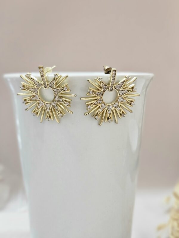 Gold Star Stud Earrings – AEGC