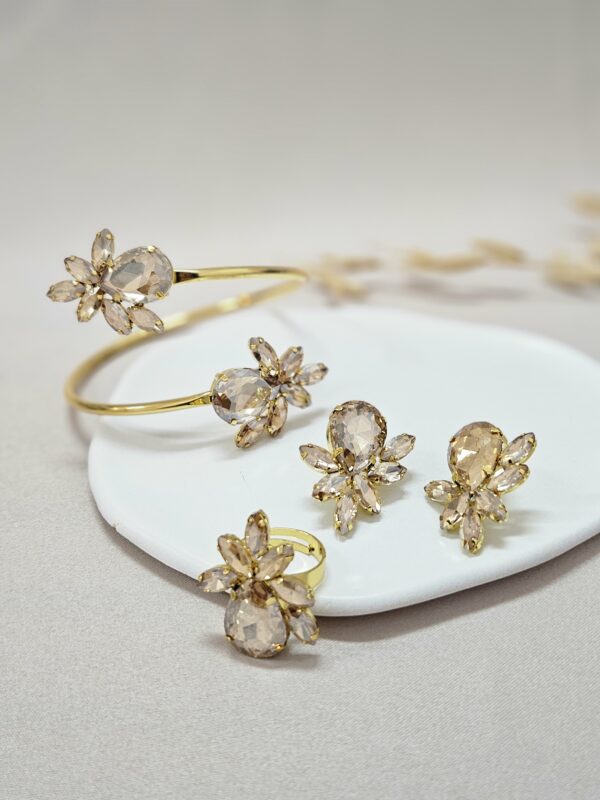 Champagine Crystal Jewelry Set – CBSGG