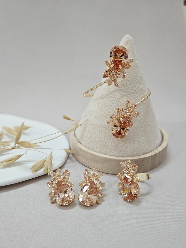 Luxurious Pineapple Statment Ghampagne Jewelry Set – TBSGG