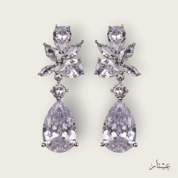 Elegant Silver Crystal Drop Earrings – AESC36